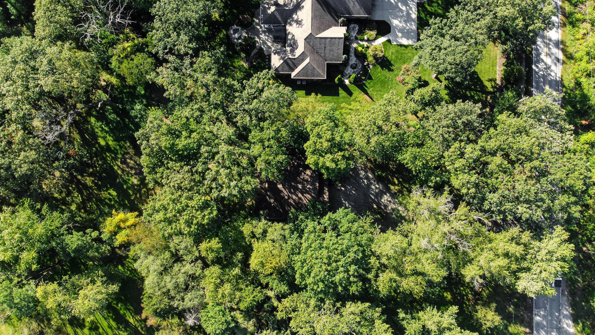 DJI_0792