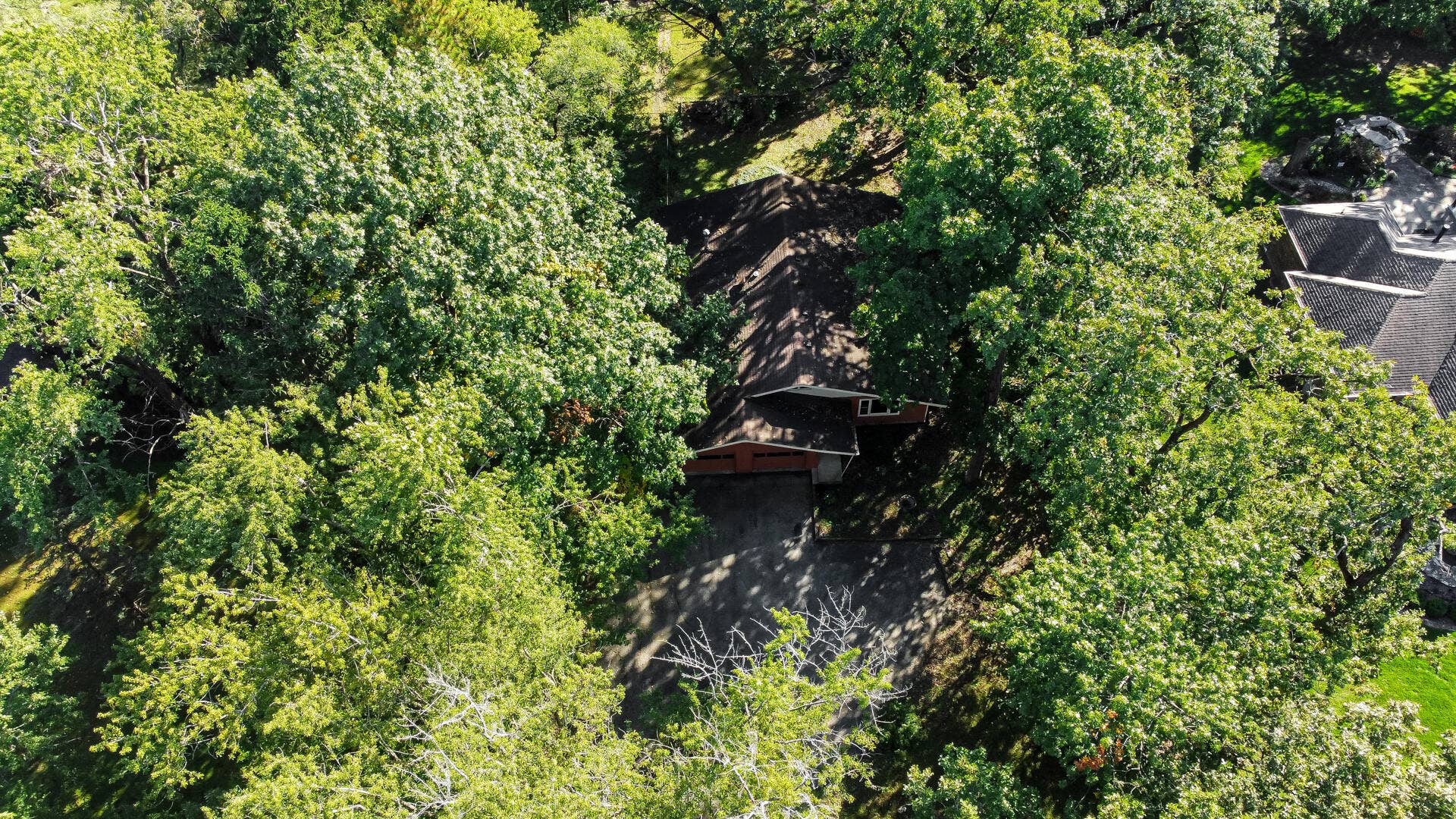 DJI_0803