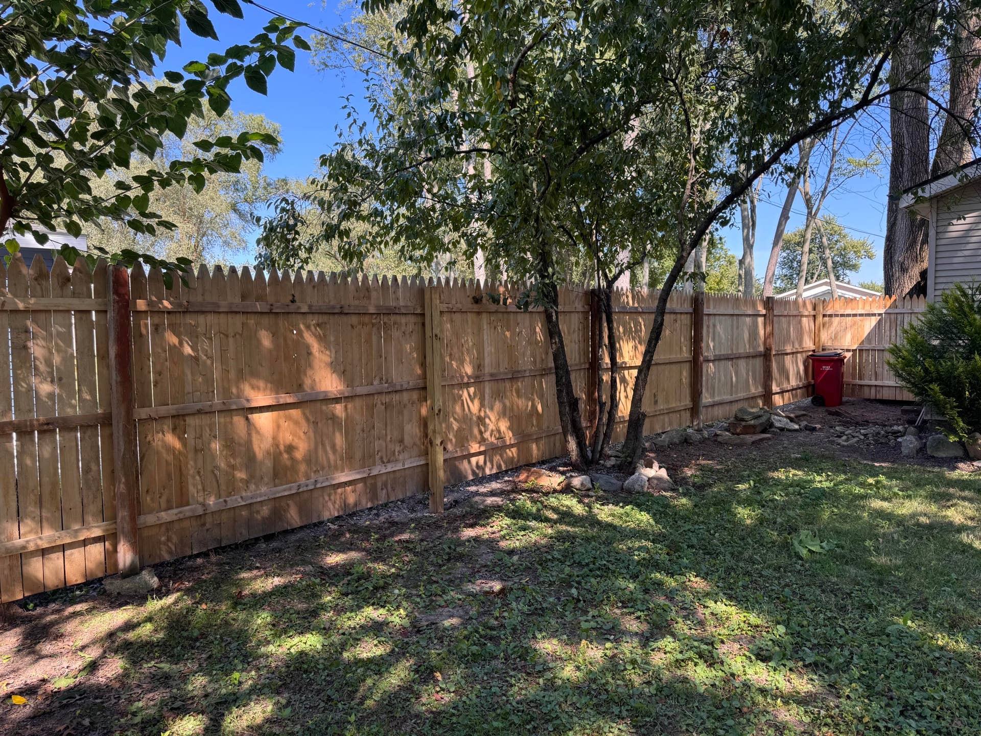 Backyard