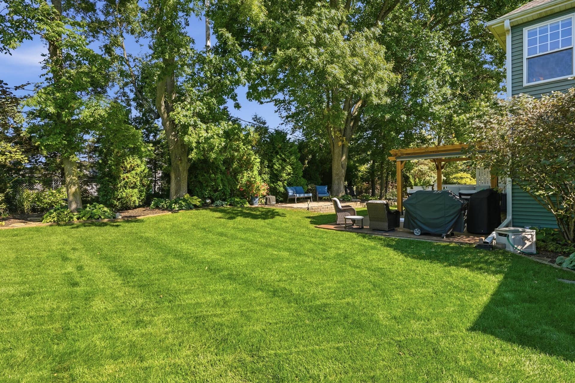 39 backyard