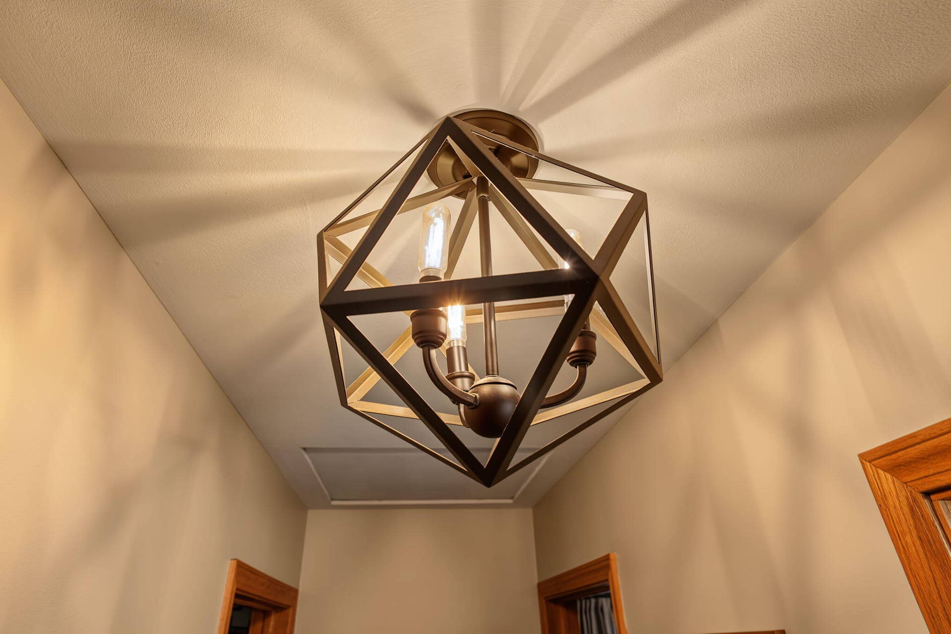 21-web-or-mls-P1010415