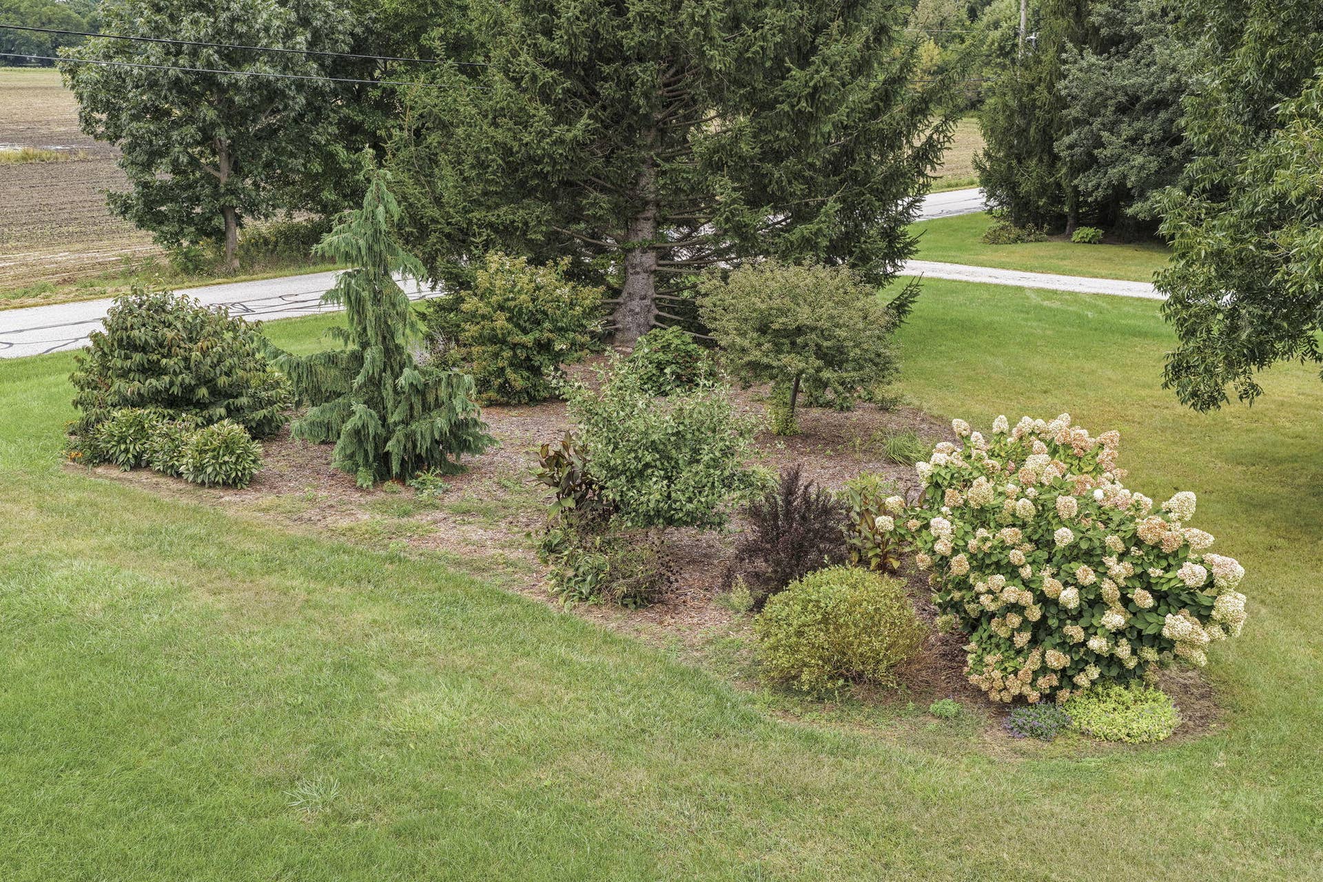 134-web-or-mls-1137-n-475