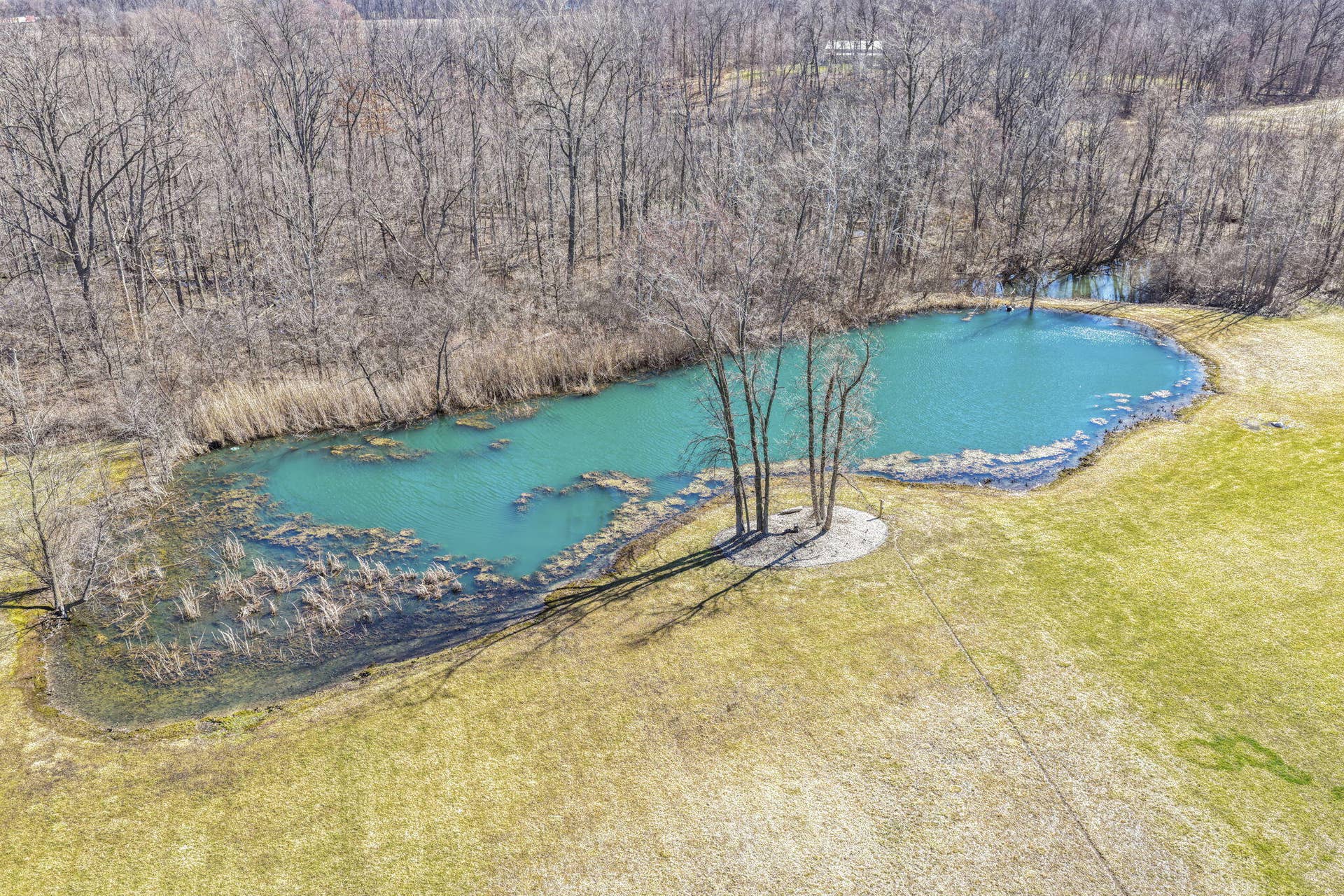 74-web-or-mls-1137-n-475