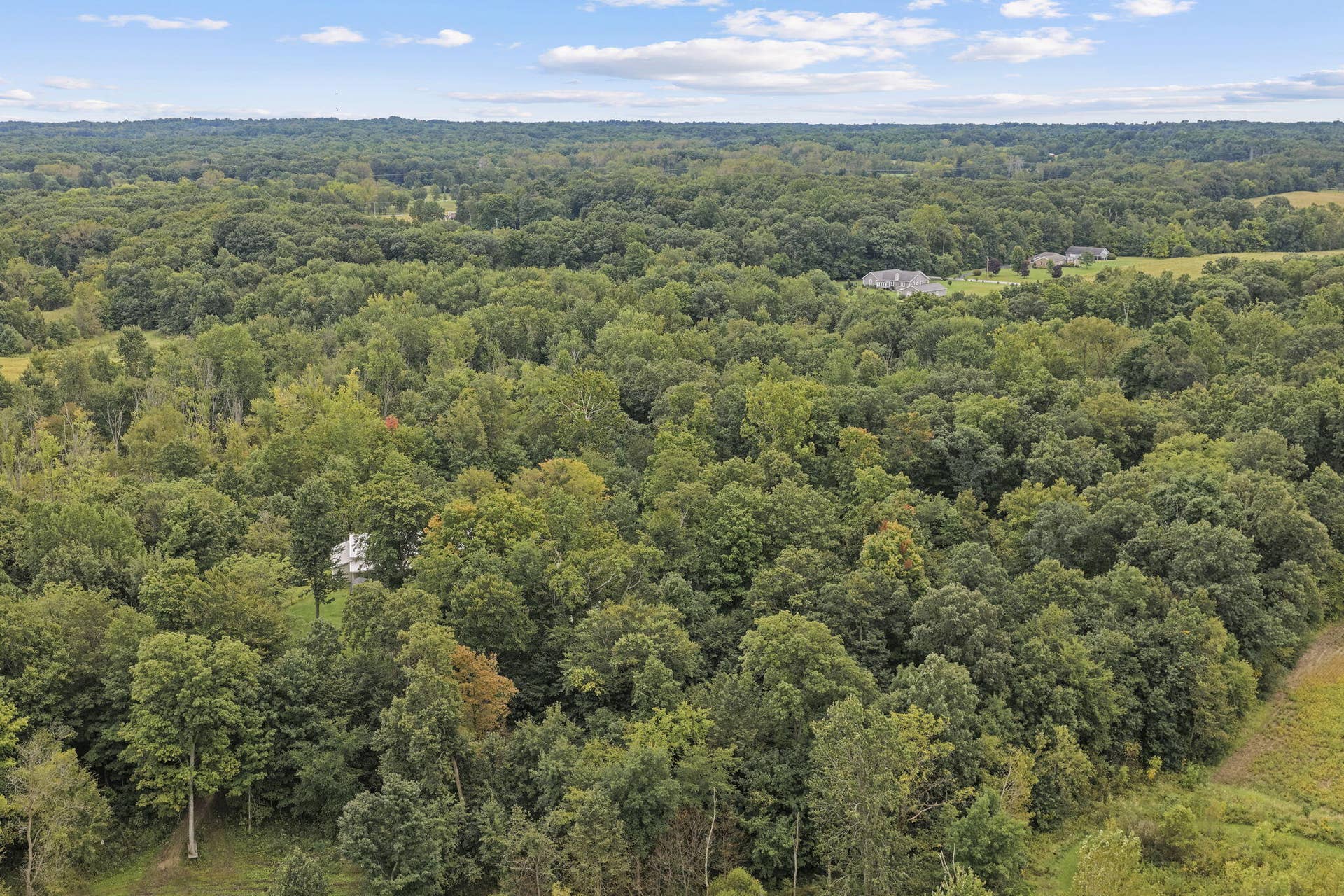 131-web-or-mls-1137-n-475