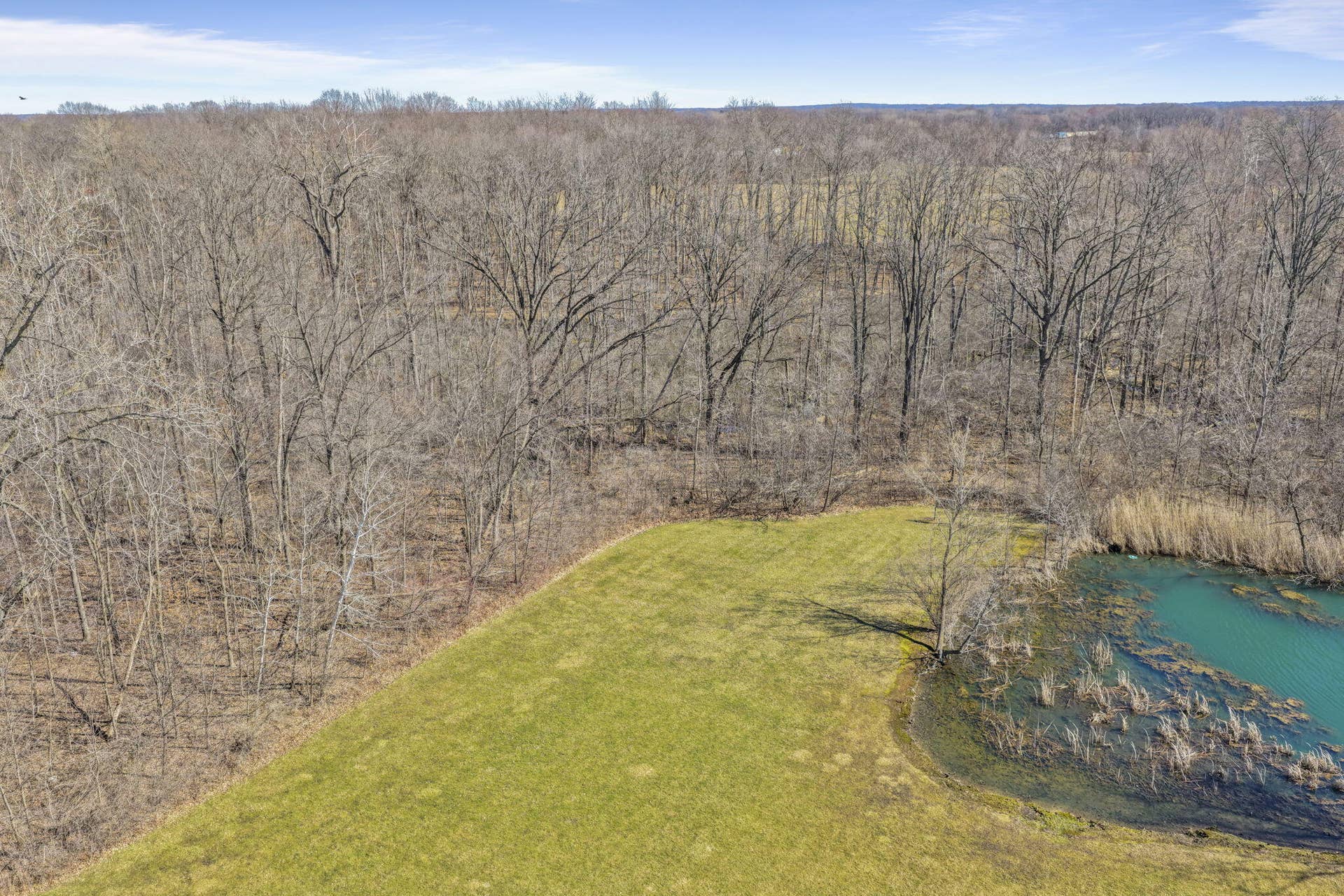 75-web-or-mls-1137-n-475