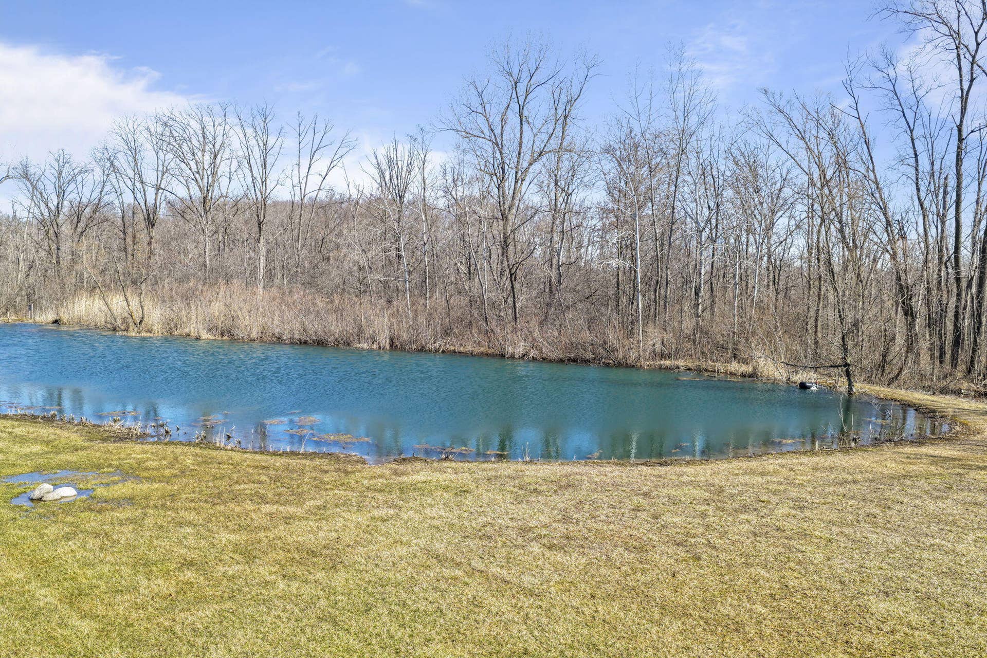 82-web-or-mls-1137-n-475