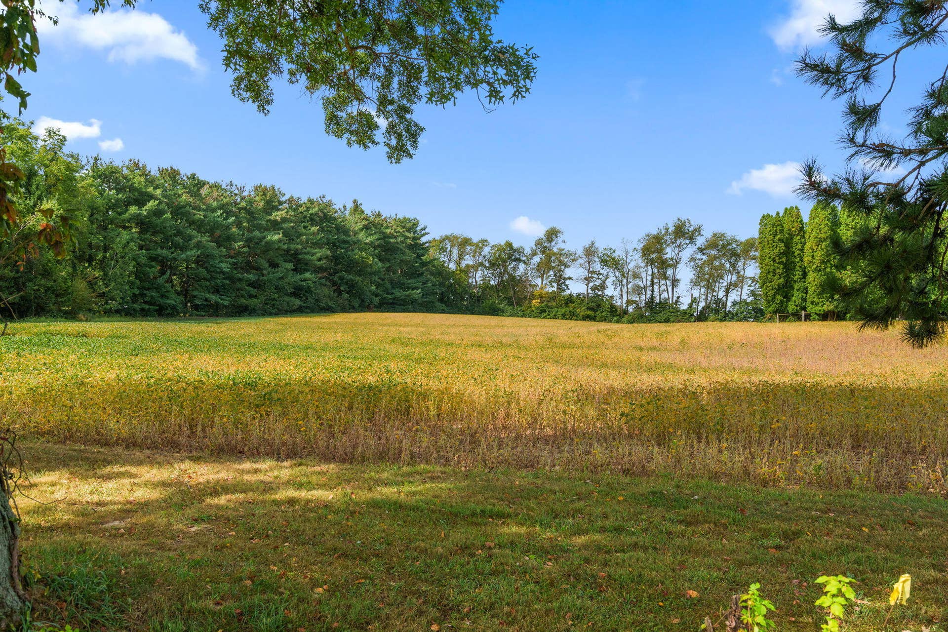 51-web-or-mls-DSC03063