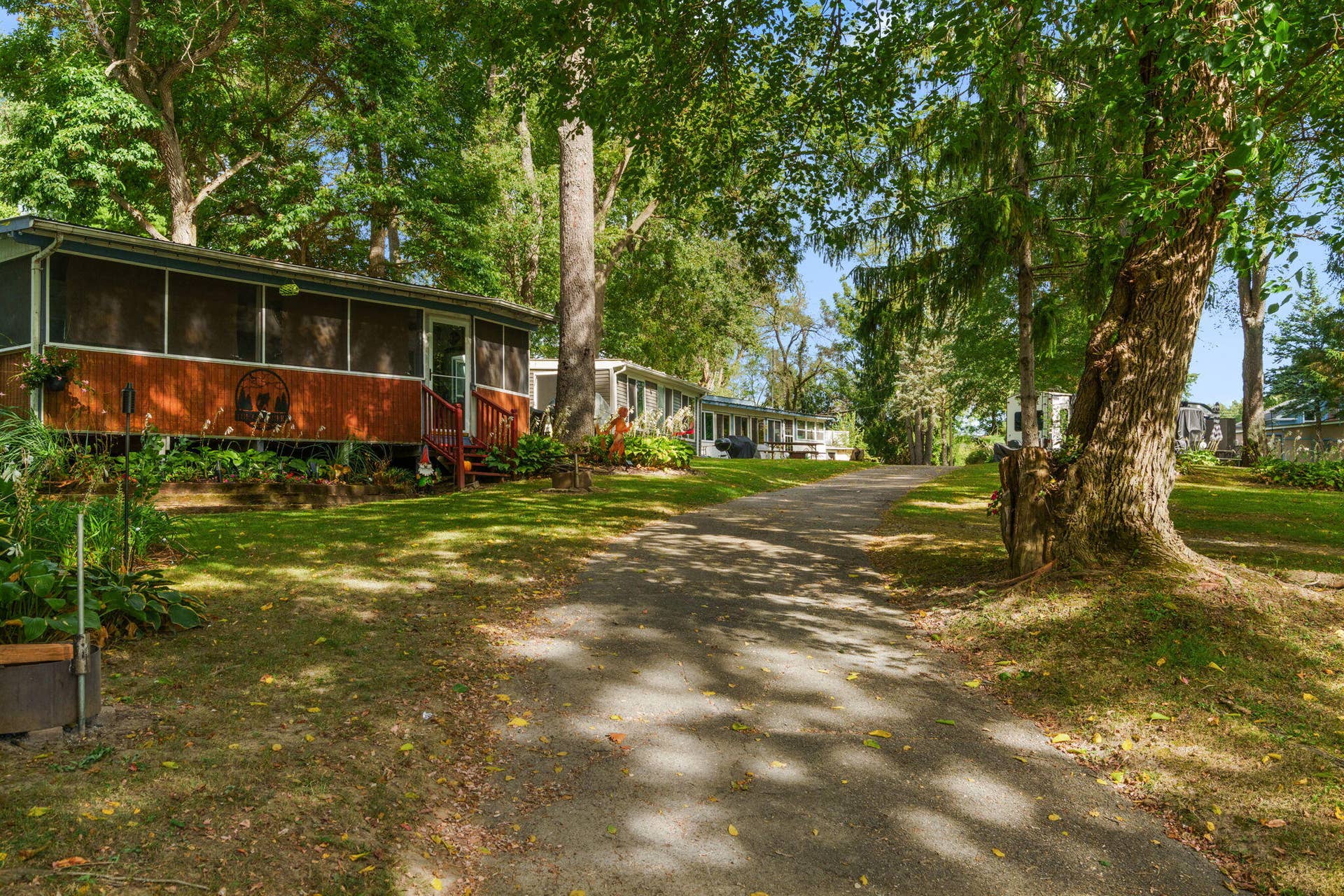 46-web-or-mls-DSC03053