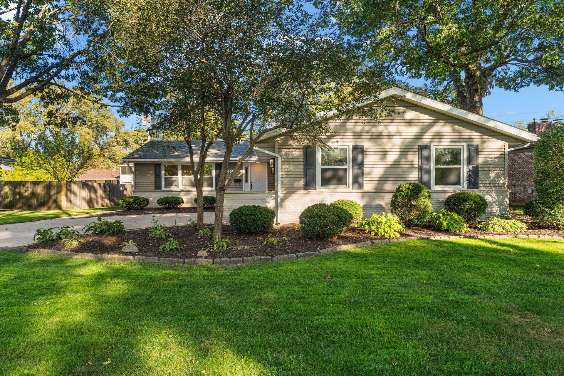 36-web-or-mls-DSC06787