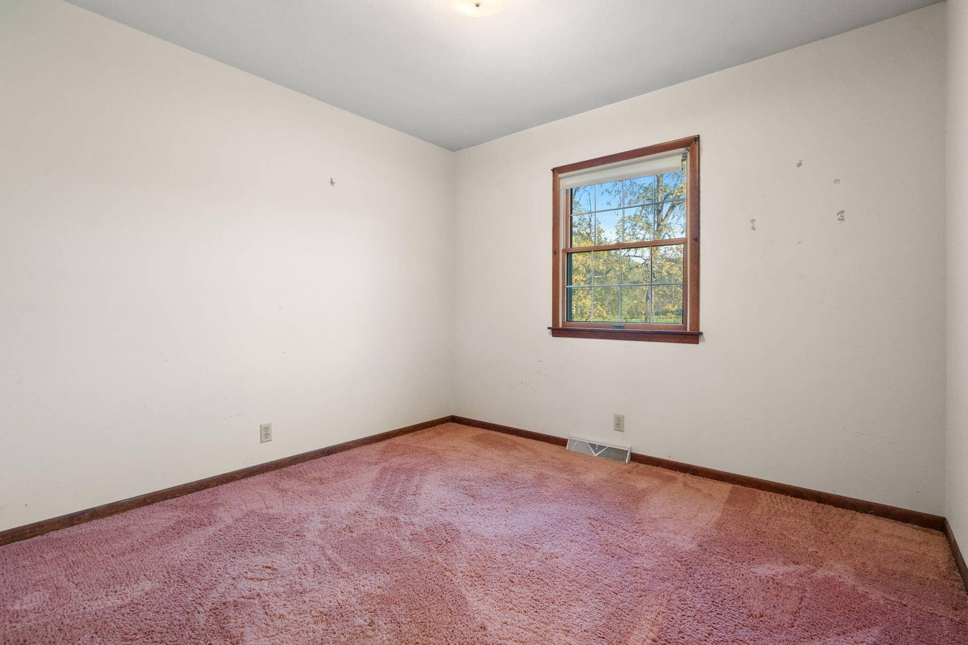 15-web-or-mls-DSC01459