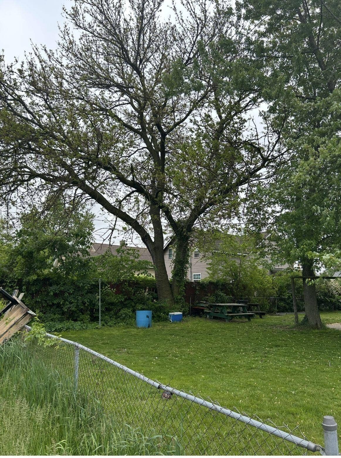 w91