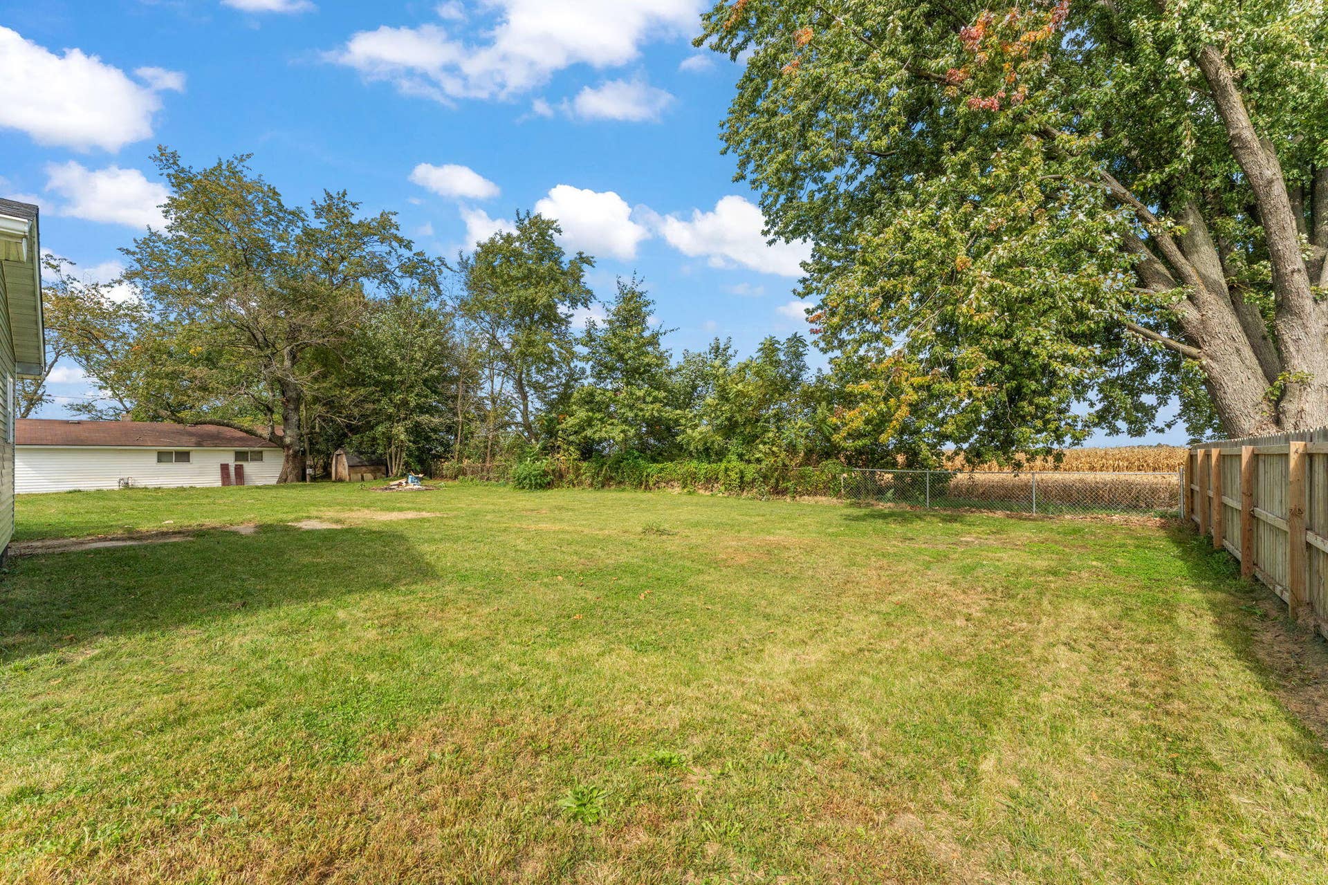 23-web-or-mls-DSC07150