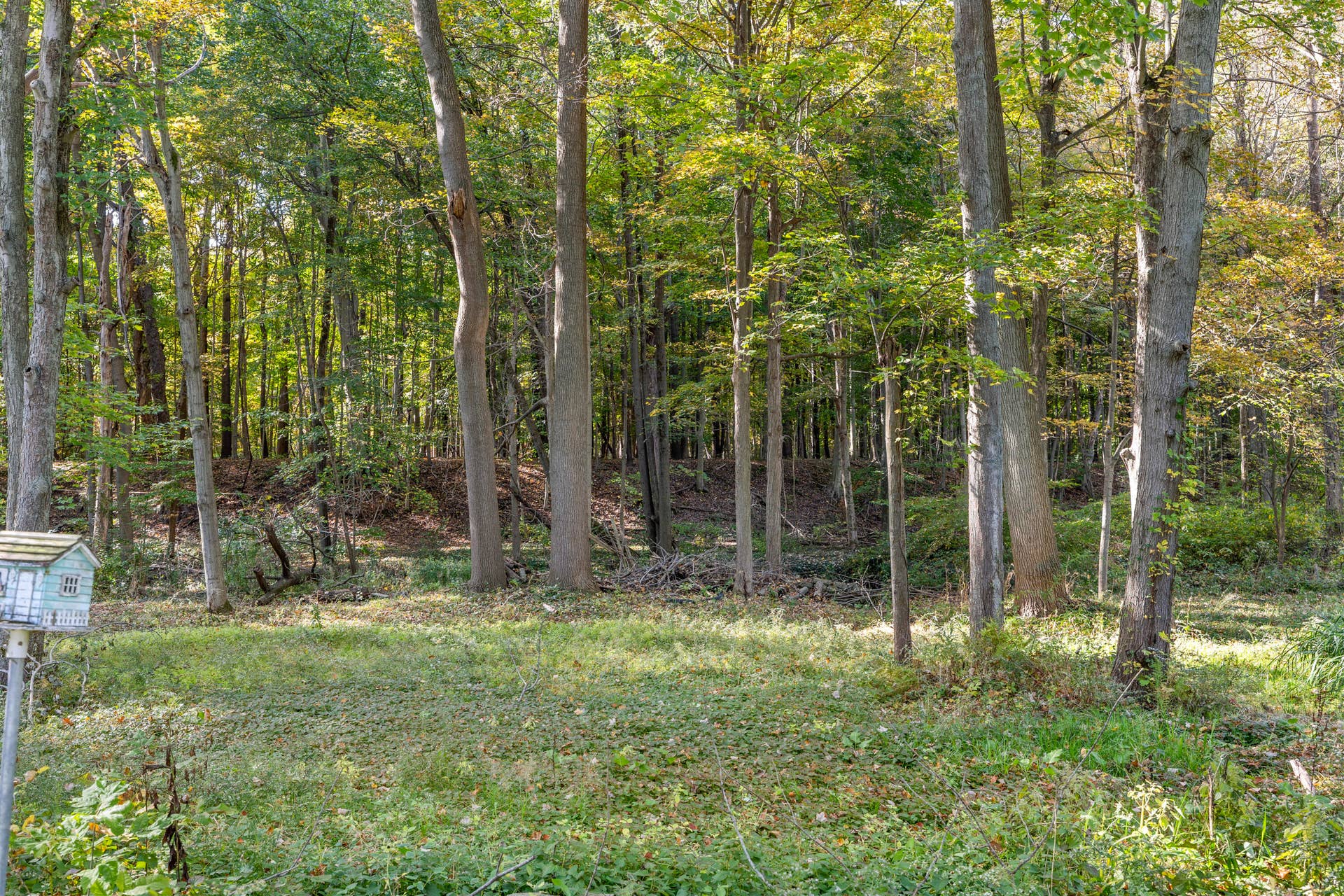 4931 Hillcrest Street, Michigan City, IN 46360 Backyard