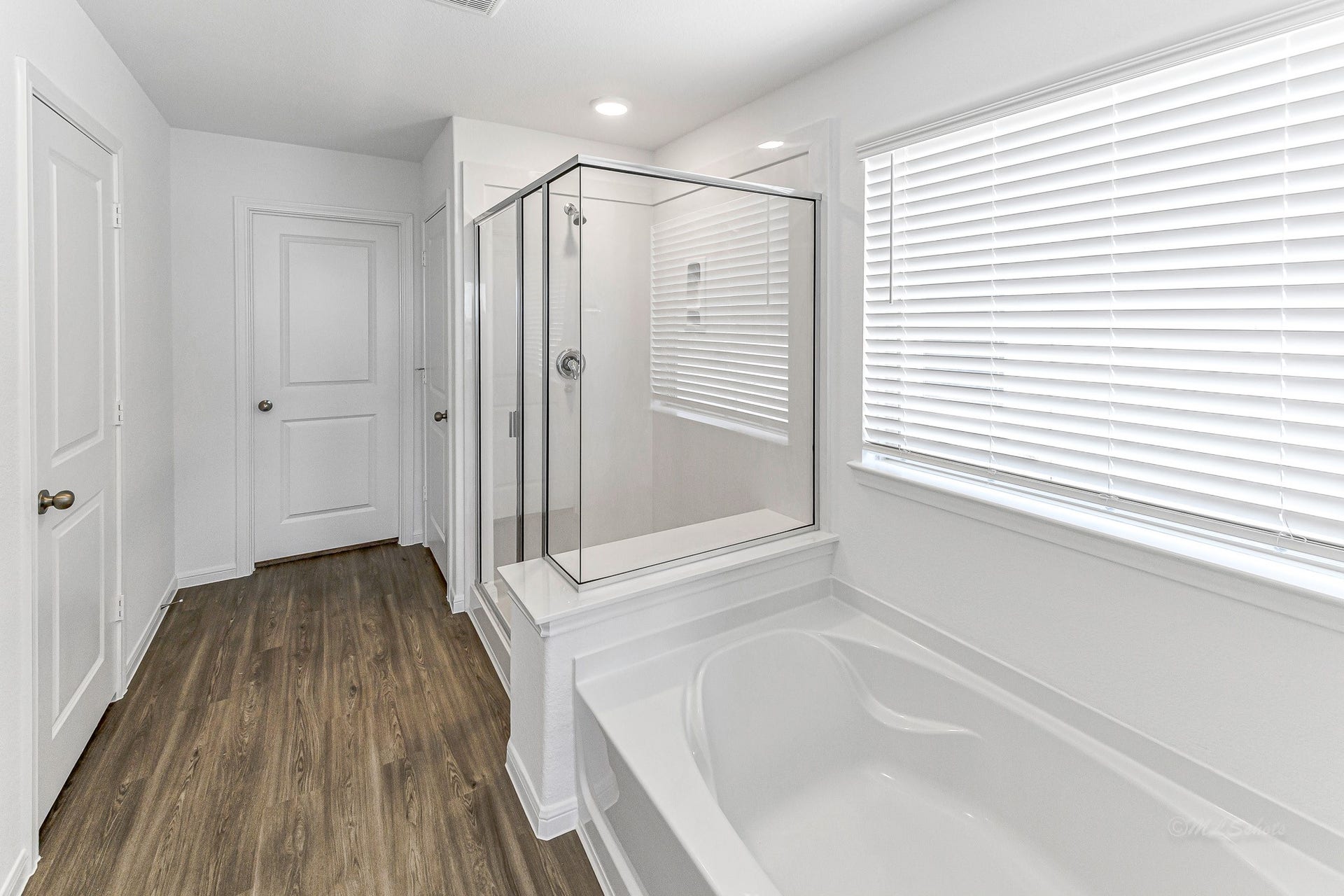 Primary bath with tub, separate glass door shower and natural light.