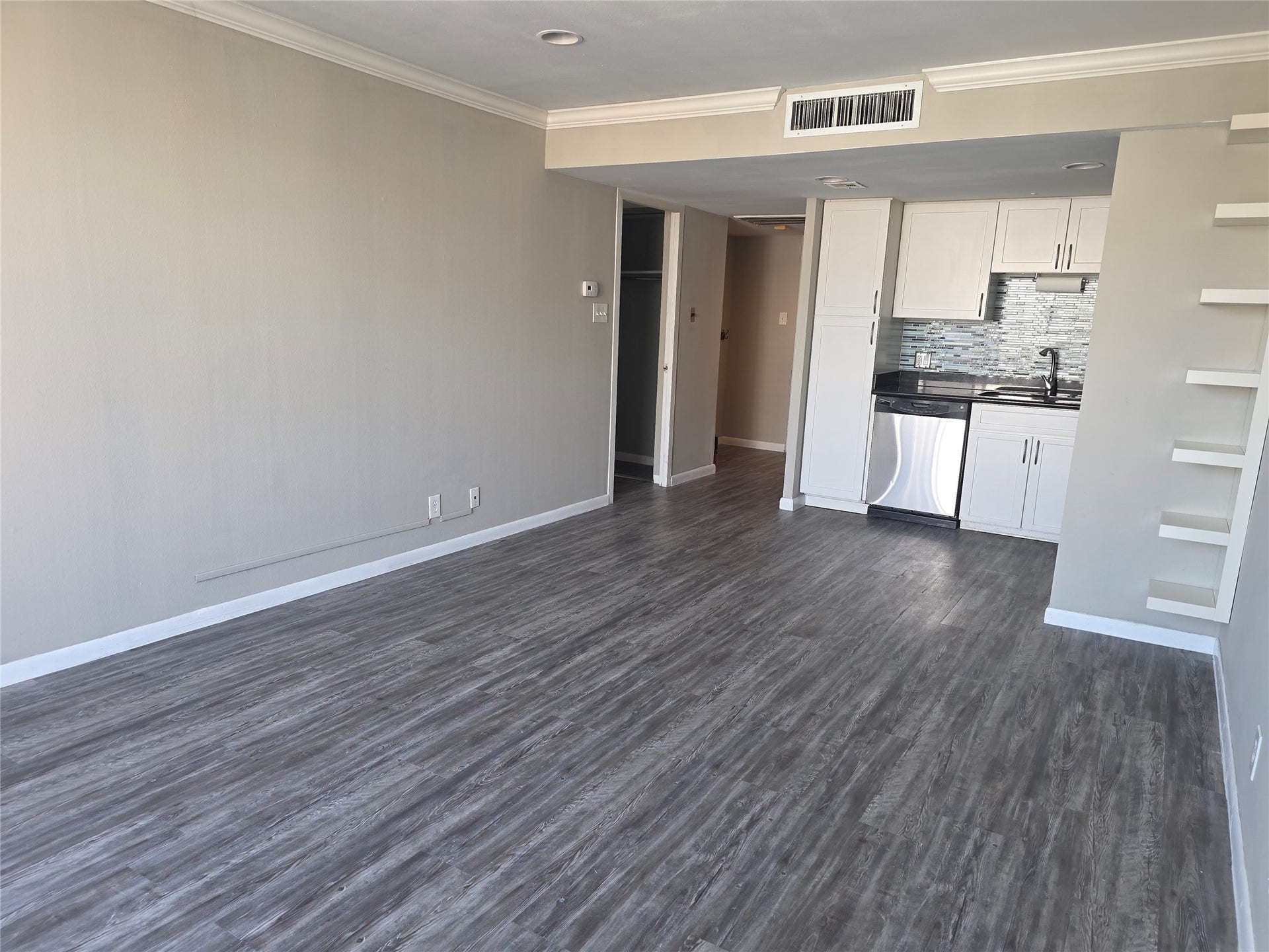 Open living/kitchen area