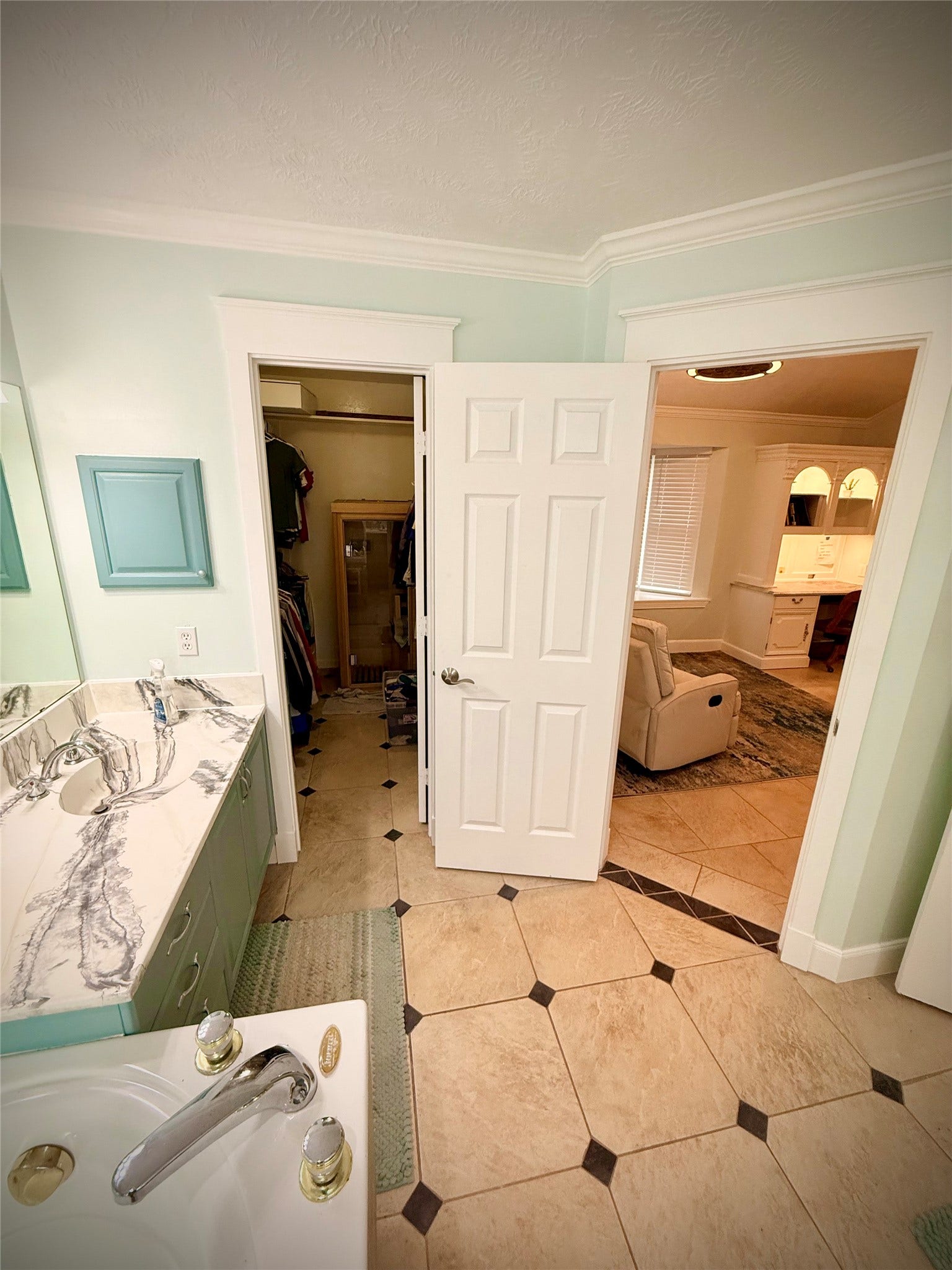 1309 Piney Woods Drive, Friendswood, TX 77546 Primary bath with jetted tub.