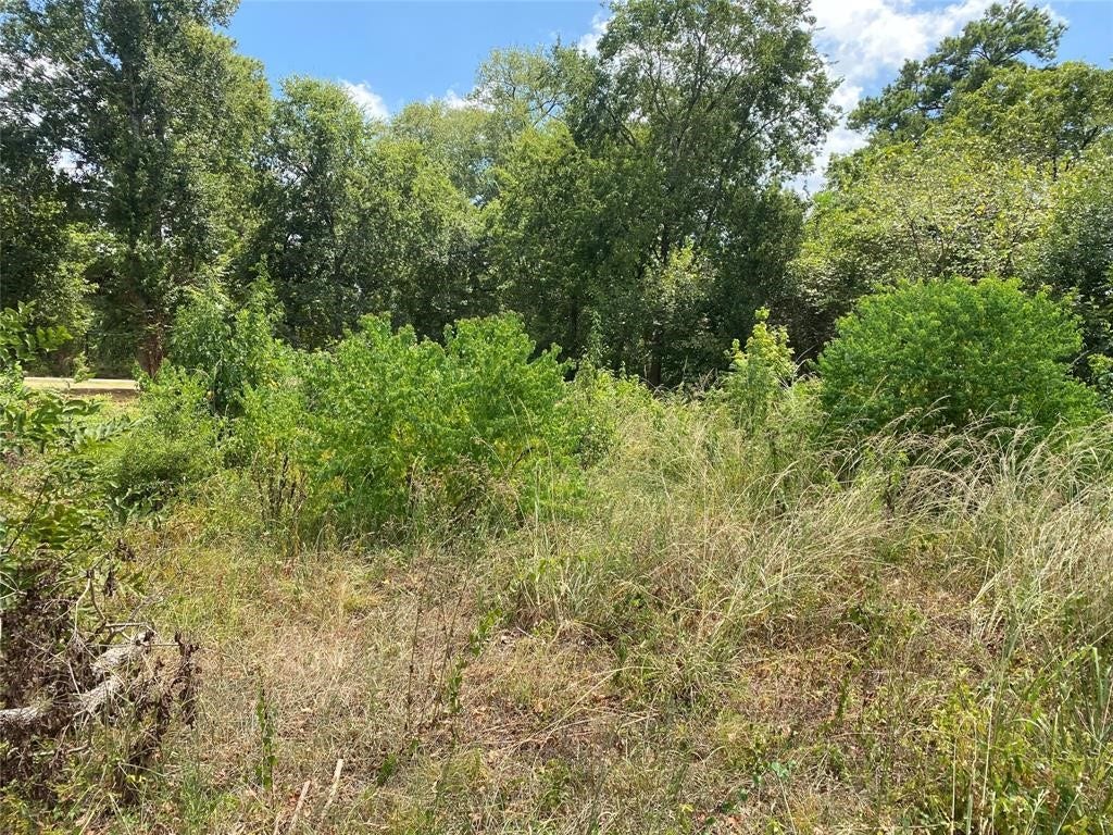 849 Webb Street, Conroe, TX 77301