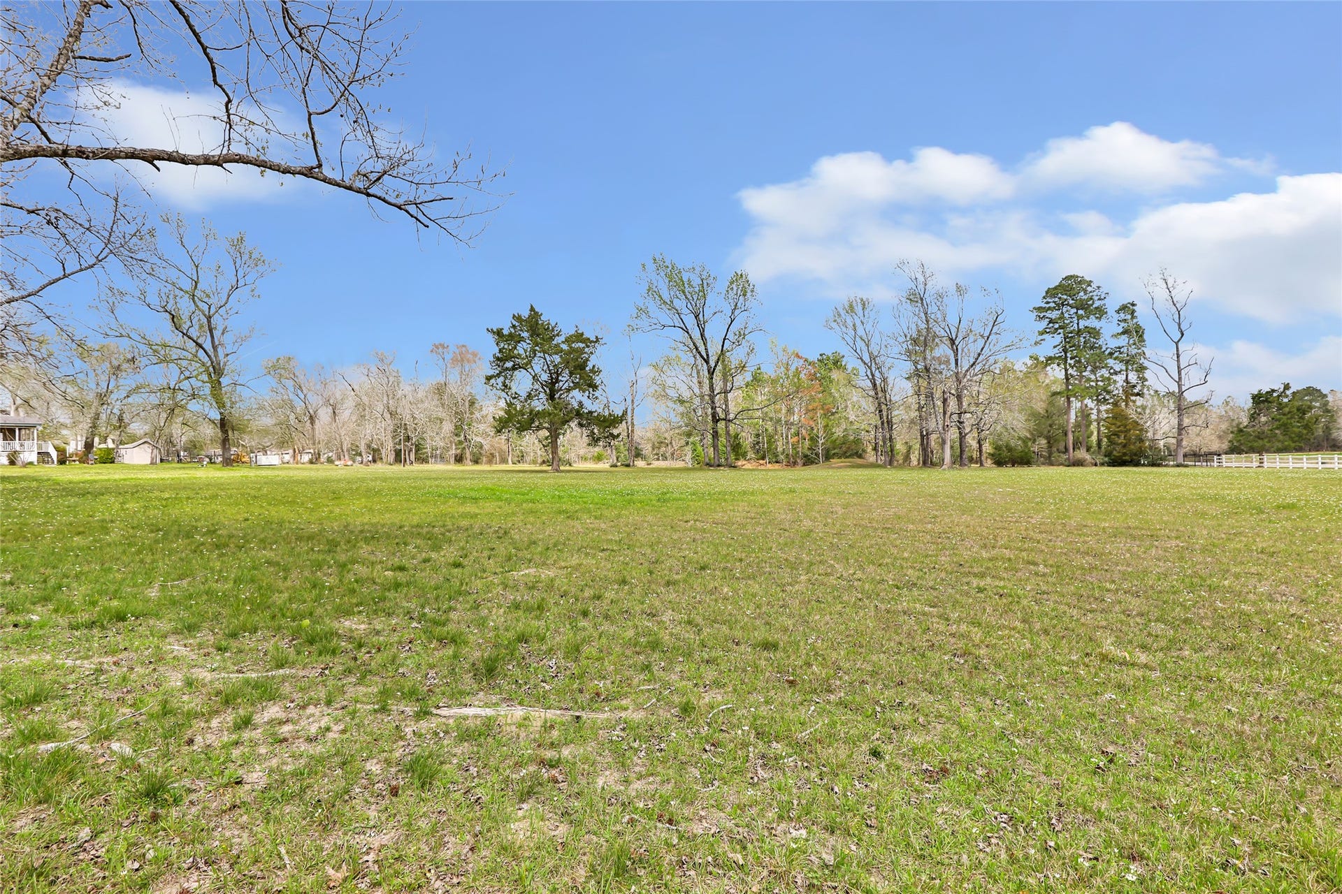17659 E FM 1097 ROAD, Willis, TX 77378 LOTS OF GREAT SANDY SOIL, ROOM FOR A FEW CATTLE, OR A GOAT OR TWO...