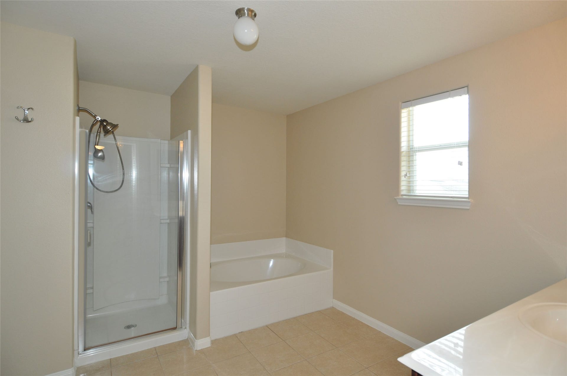 9434 Turquoise Meadow Lane, Rosharon, TX 77583 9434 Turquoise Meadow Lane, Rosharon, TX 77583