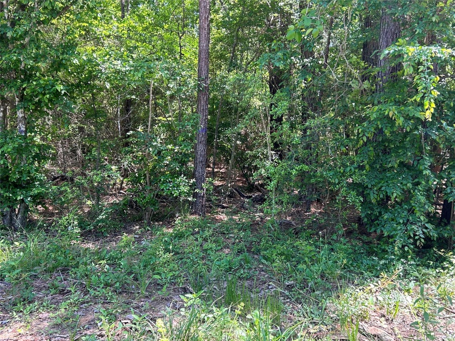 Property photo for 0 Redwood Lane, Montgomery, TX