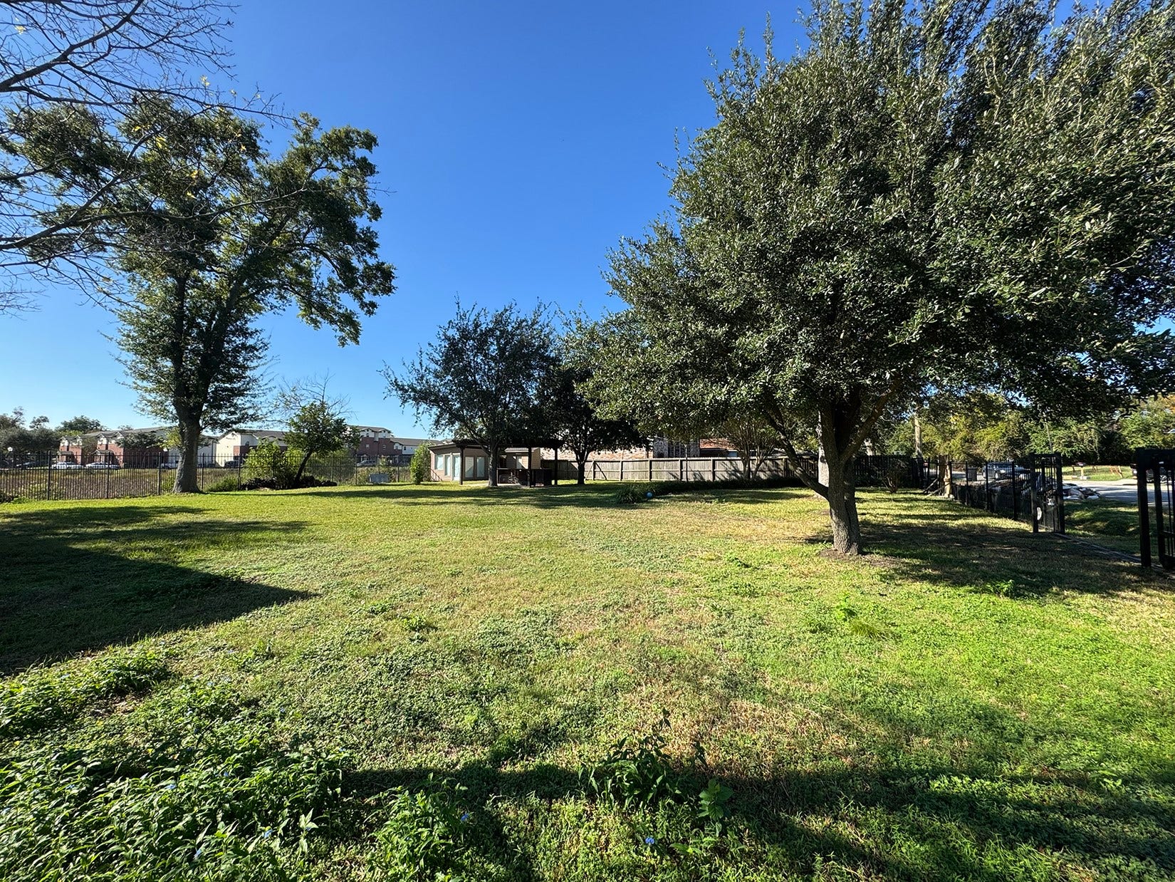 Spacious, sunny yard with mature trees, well-maintained grass, and a fenced perimeter. Ideal for outdoor activities and privacy.
