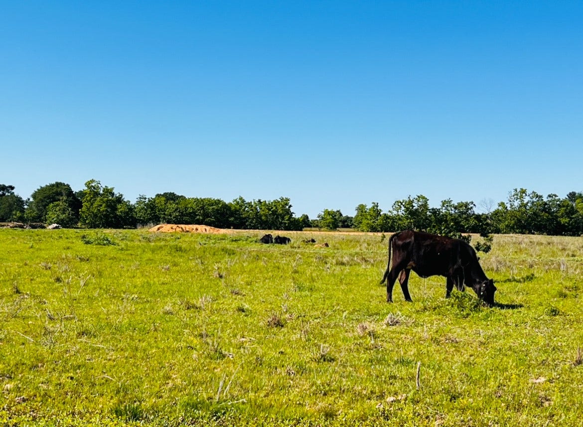 30930 Waller Spring Creek Road, Waller, TX 77484 30930 Waller Spring Creek Road, Waller, TX 77484