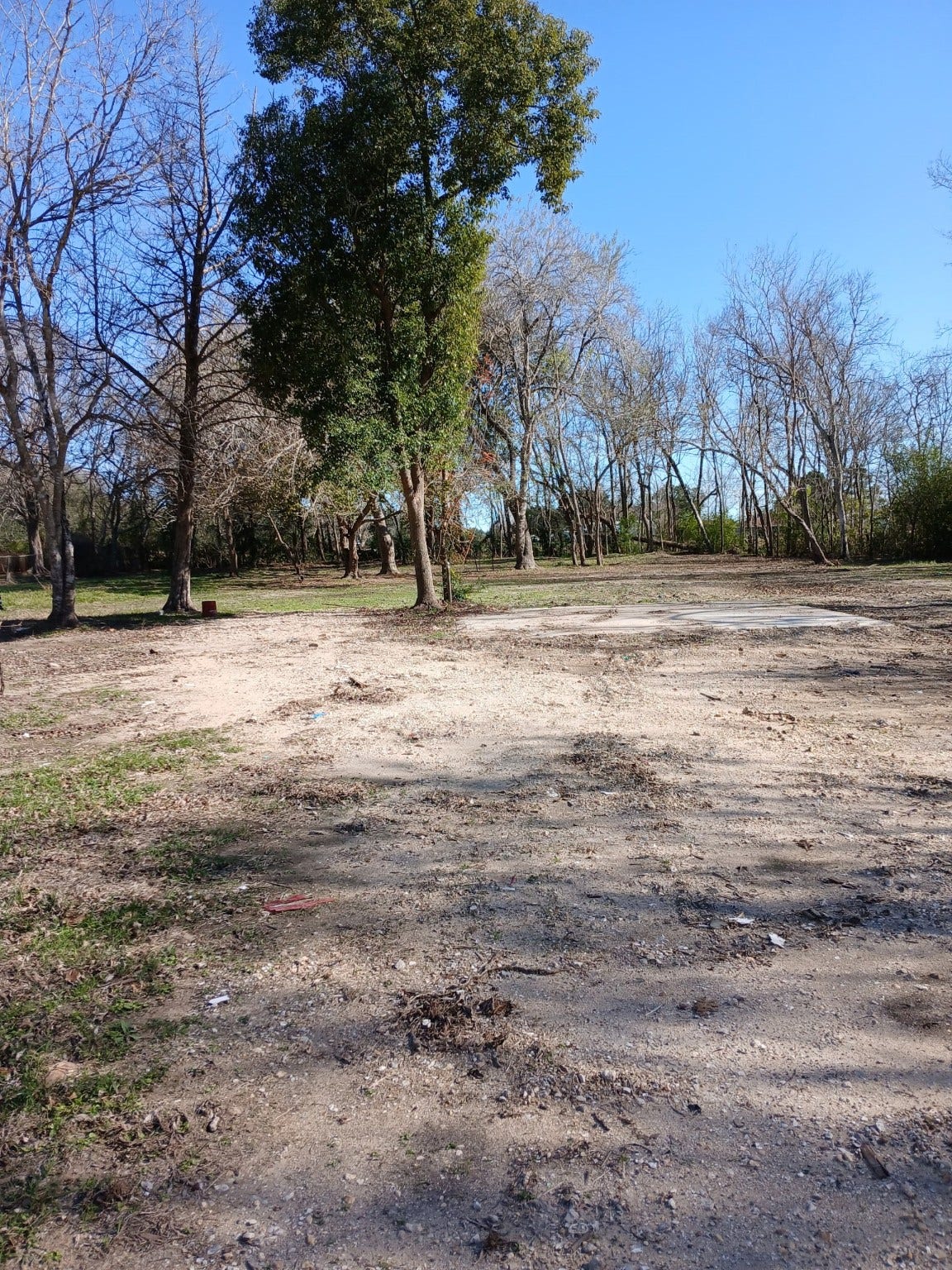 8019 Bellwood Drive, Hitchcock, TX 77563 8019 Bellwood Drive, Hitchcock, TX 77563