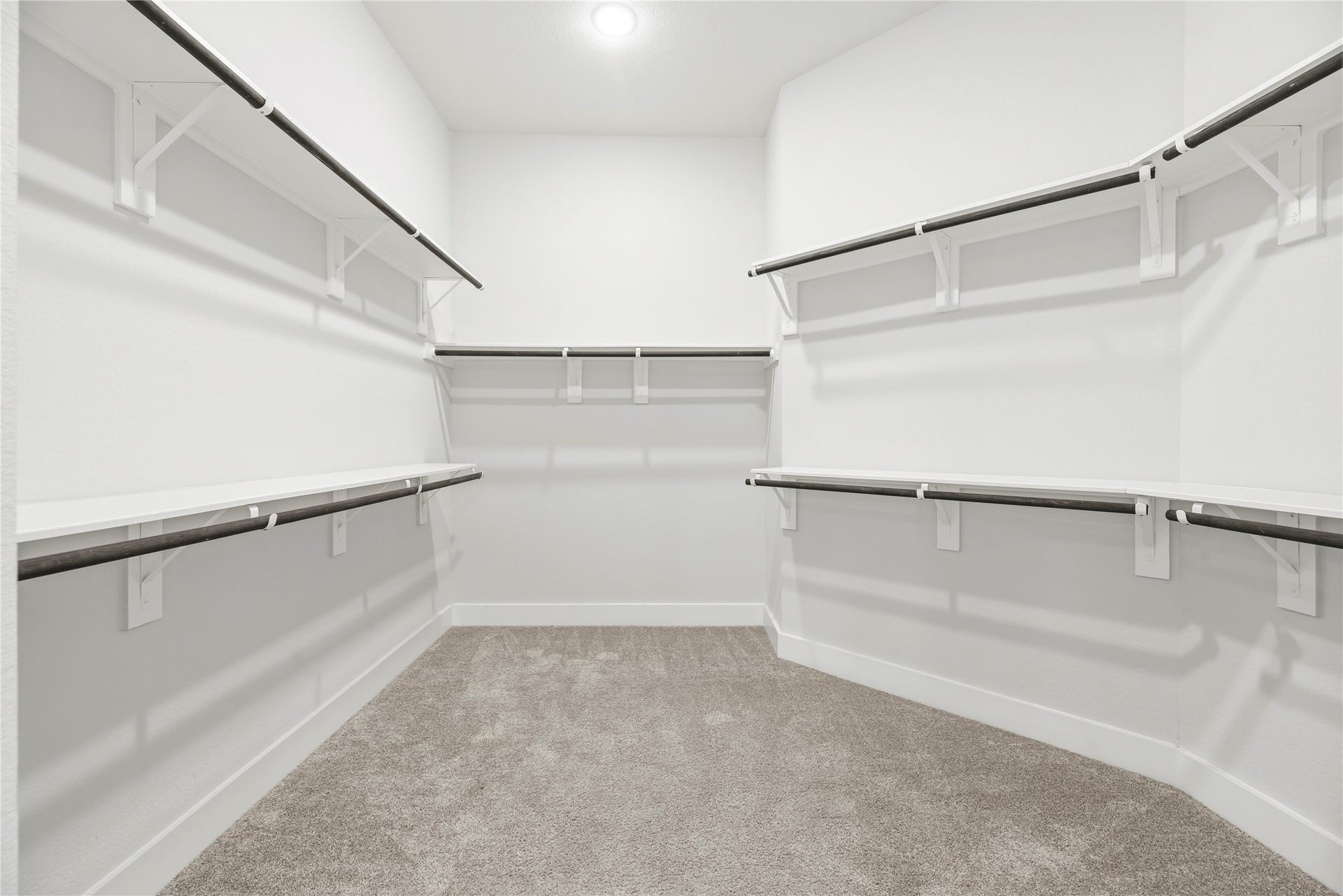 Oversized primary walk-in closet with built-in multi-level hanging rods, upper storage shelving, and cozy neutral carpeting.