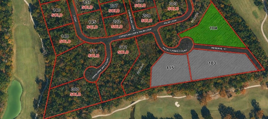 Property photo for 104 Chateau Pines Court, Montgomery, TX