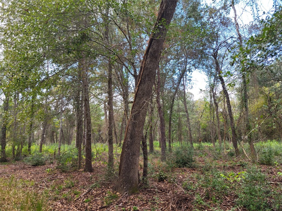 Property photo for 27055 Sandy Creek, Magnolia, TX