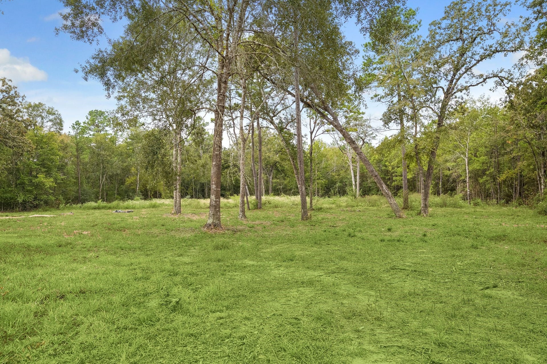 22323 Fm 149 Road, Montgomery, TX 77356 22323 Fm 149 Road, Montgomery, TX 77356