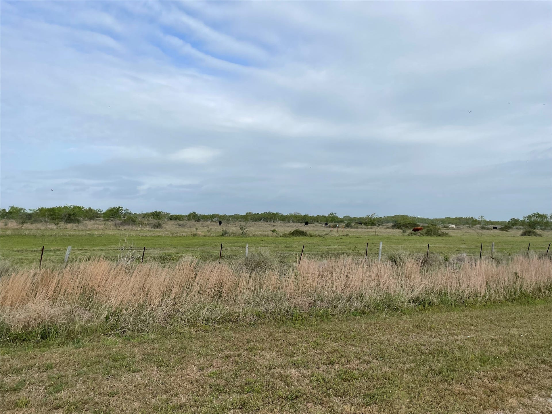 0 Harbor Dr, Hitchcock, TX 77563 0 Harbor Dr, Hitchcock, TX 77563