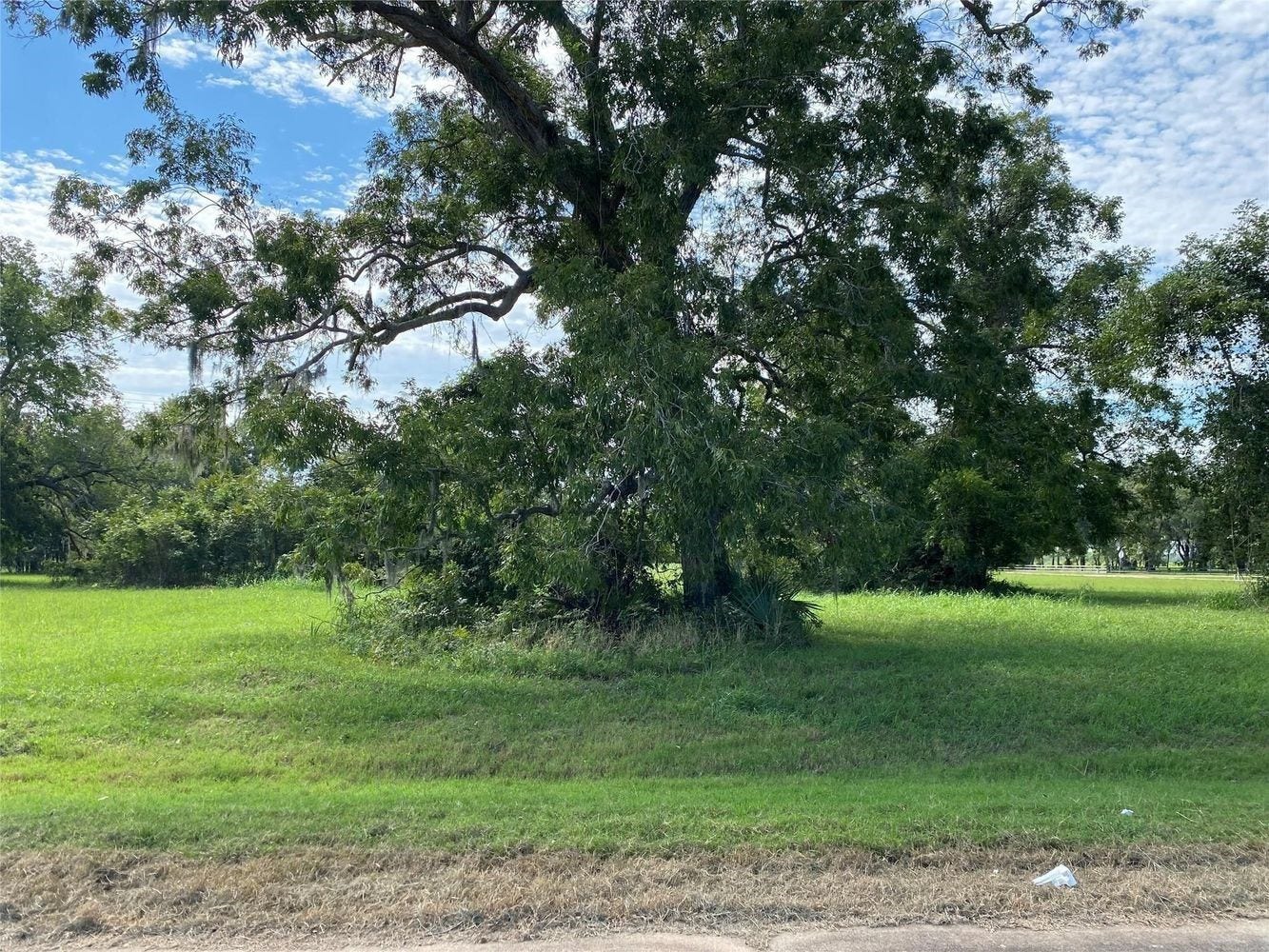 275 Horse Shoe Trail, Angleton, TX 77515 275 Horse Shoe Trail, Angleton, TX 77515