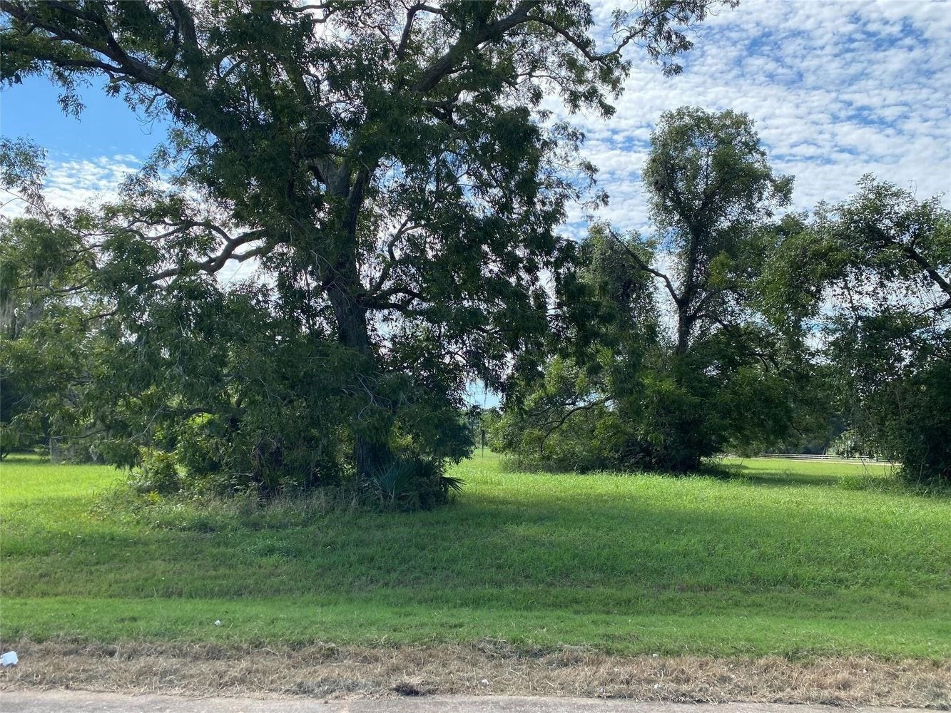 275 Horse Shoe Trail, Angleton, TX 77515 275 Horse Shoe Trail, Angleton, TX 77515