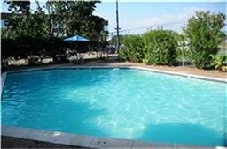 6001 Reims Road, #1202, Houston, TX 77036 This photo showcases a well-maintained outdoor swimming pool surrounded by greenery, providing a relaxing and private space for leisure and entertainment.