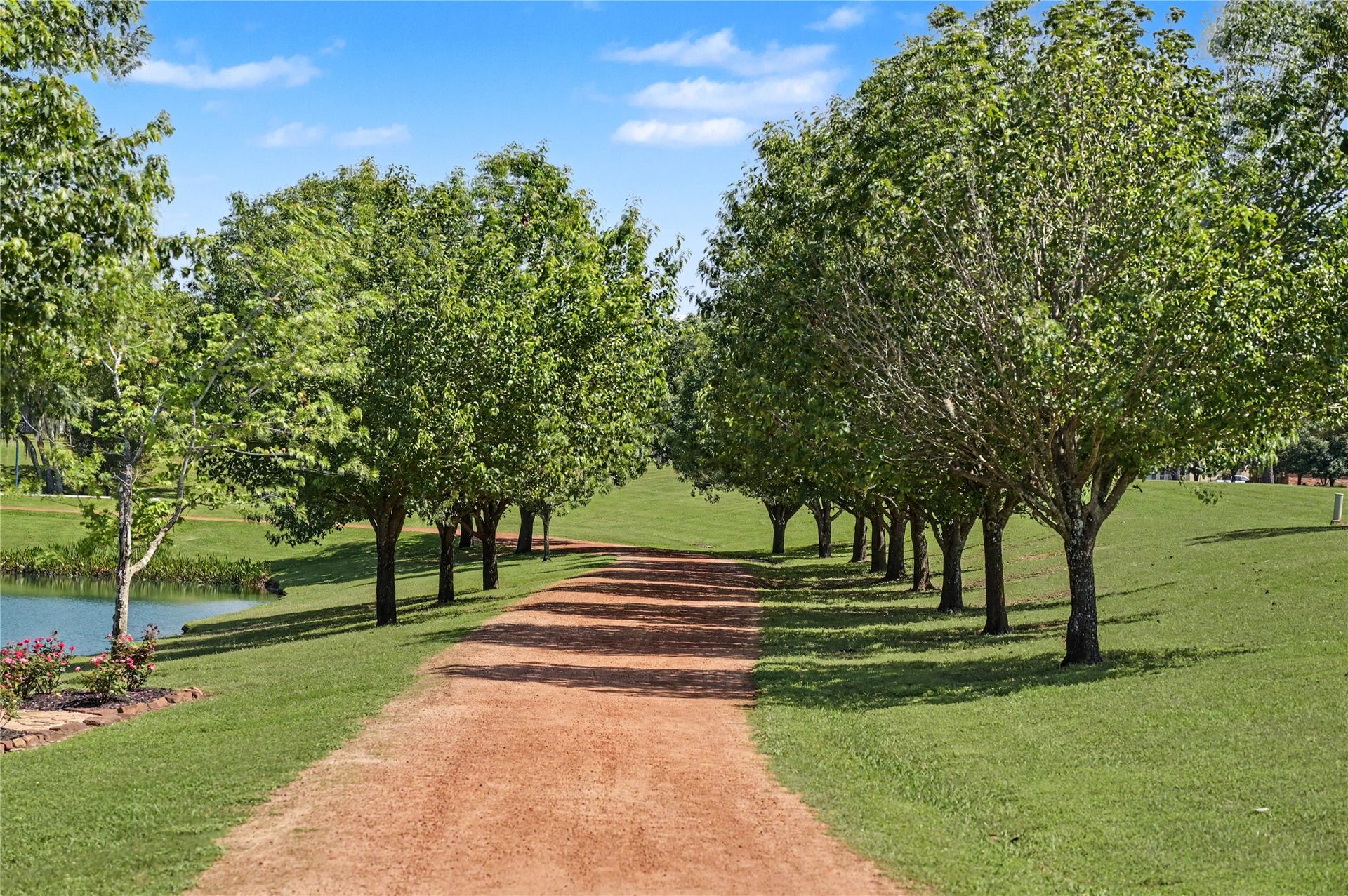 124 Wycliffe Drive, Montgomery, TX 77356 Gorgeous tree-lined pathway offering a peaceful, park-like atmosphere.