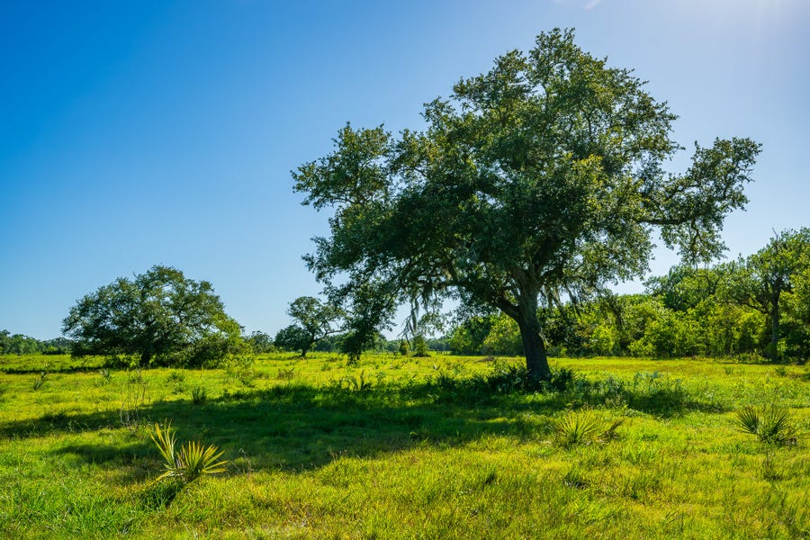 Property photo for 700 Cr-700, Brazoria, TX