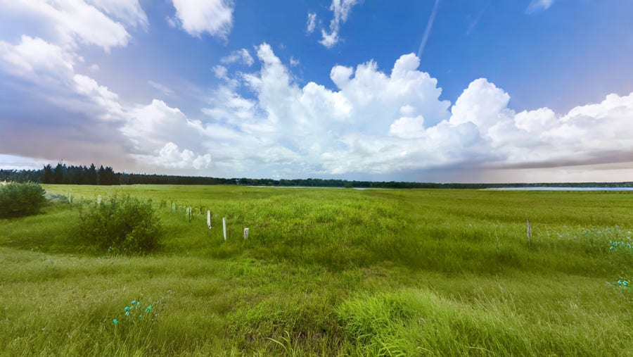 Property photo for Conestoga Conestoga Trail, Angleton, TX