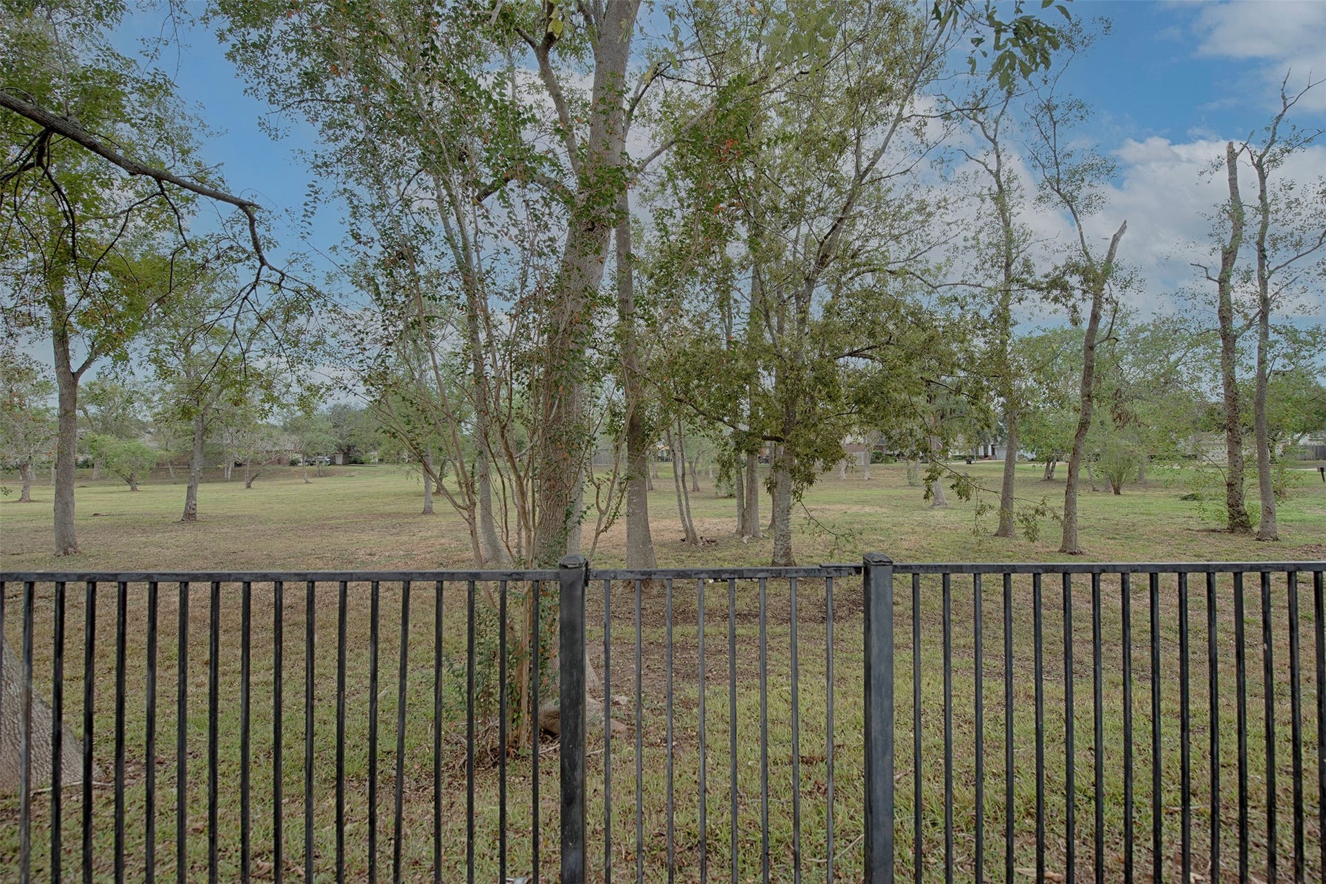 10411 Village Lake Drive, Missouri City, TX 77459 A view from the backyard with a gate to the HOA green area for the kids to play and explore.