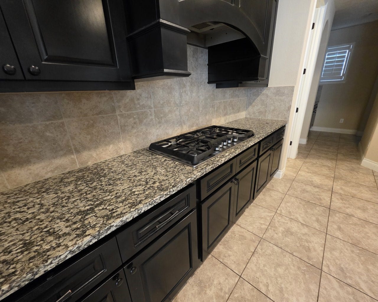17111 Dewberry Lane, Rosharon, TX 77583 Lots of cabinet and counter space