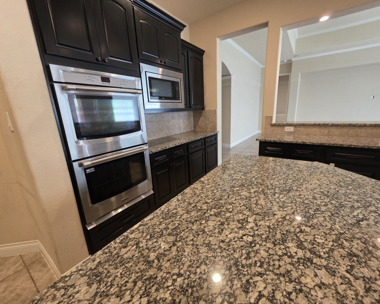 17111 Dewberry Lane, Rosharon, TX 77583 Stainless appliances