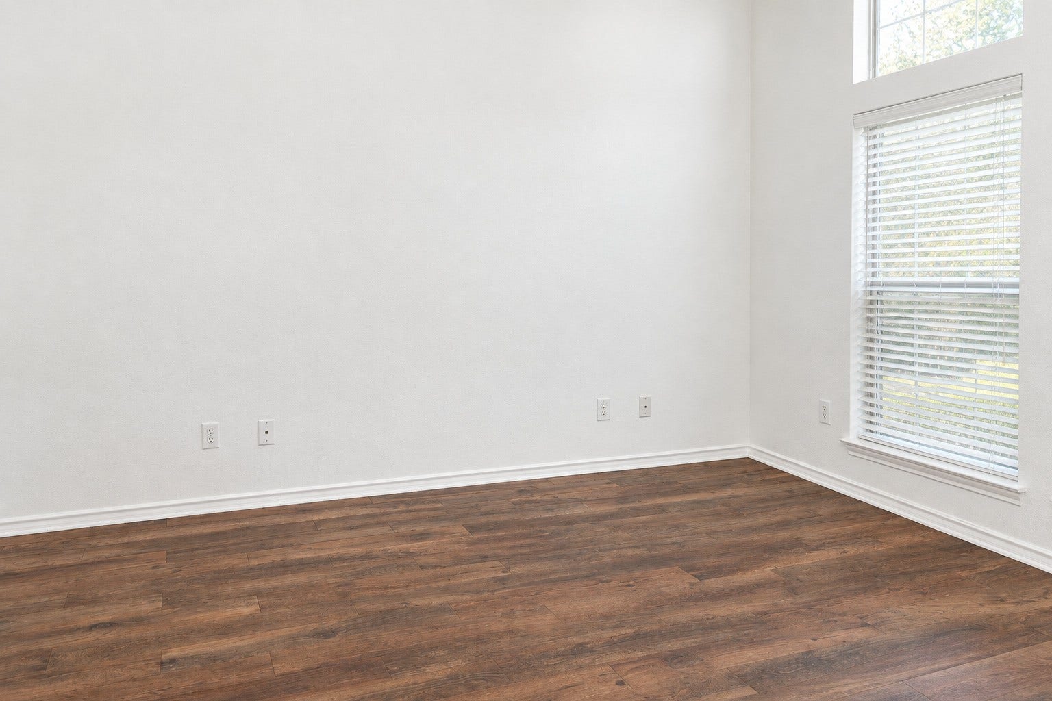 Study/Office room with bright natural lighting.