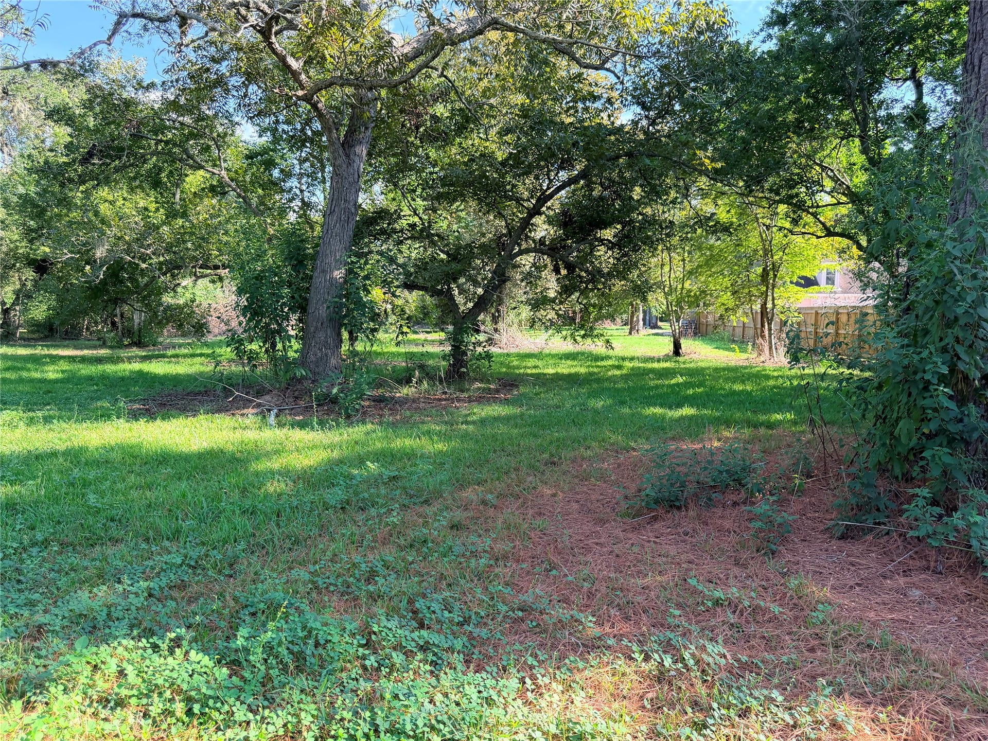 179 Cedar Street, Richwood, TX 77531 179 Cedar Street, Richwood, TX 77531