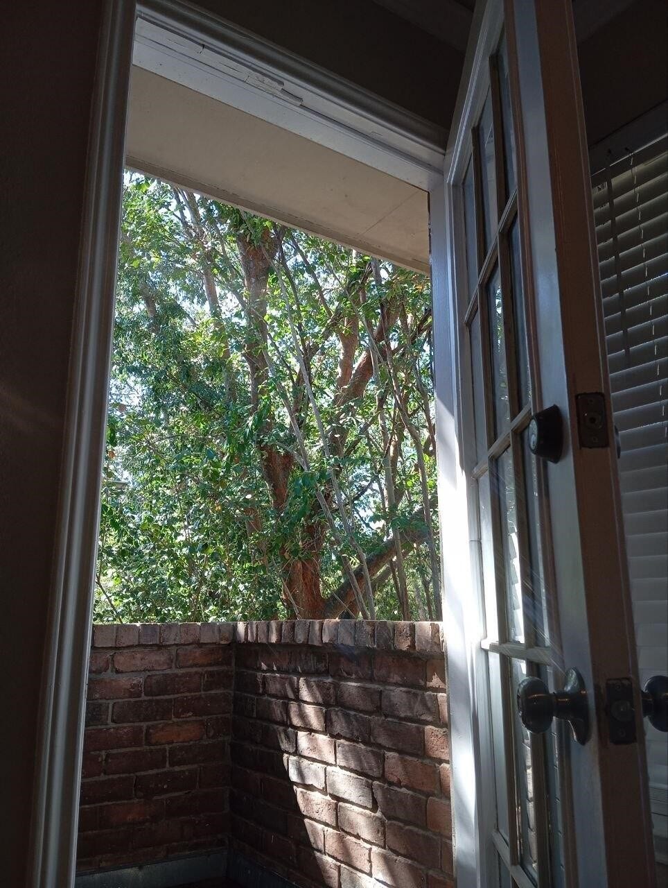 5515 Strack Road, #116, Houston, TX 77069 5515 Strack Road, #116, Houston, TX 77069