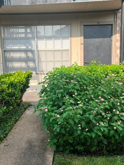 Property photo for 5550 N Braeswood Boulevard, #100, Houston, TX