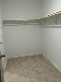 Spacious walk-in closet with ample shelving and plush carpeting.
