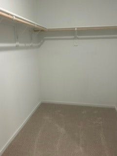 Spacious walk-in closet with ample hanging space and soft carpeting.
