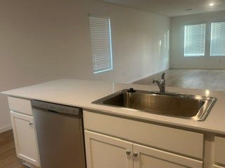 Modern kitchen with a sleek countertop, stainless steel sink, and integrated dishwasher, flowing into a spacious, light-filled living area.