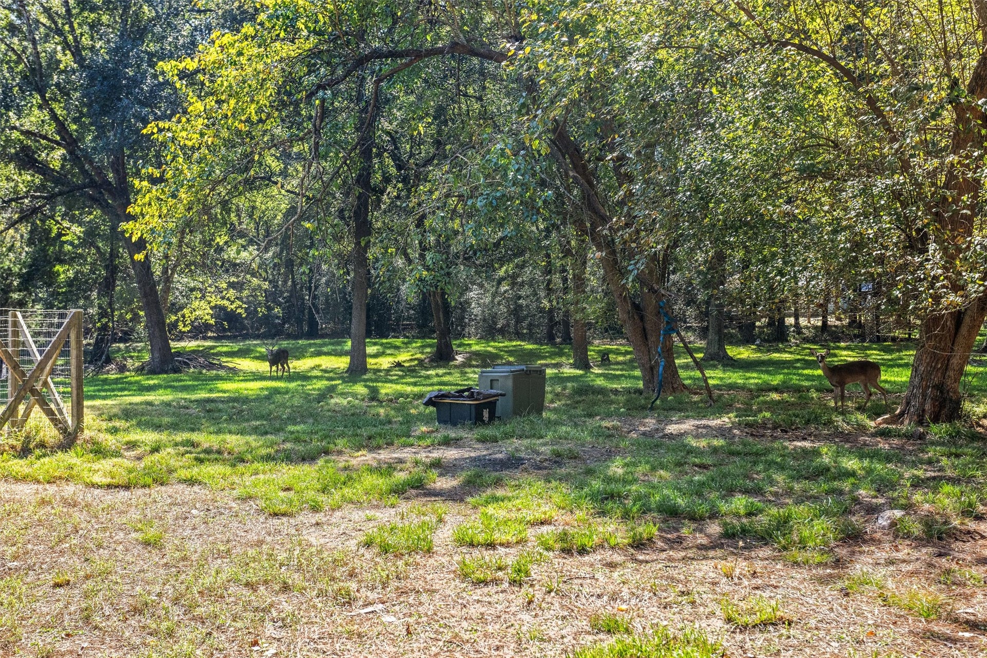 1007 Shawnee Drive, Conroe, TX 77316 1007 Shawnee Drive, Conroe, TX 77316