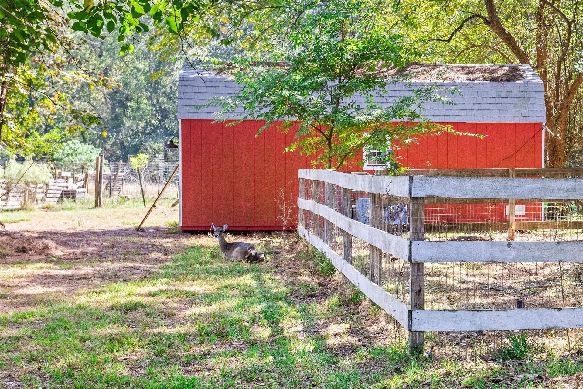 1007 Shawnee Drive, Conroe, TX 77316 1007 Shawnee Drive, Conroe, TX 77316
